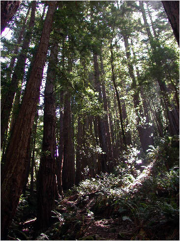 image10.jpg