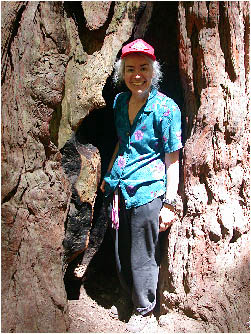 image13.jpg