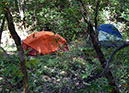 TheLandLaborDay2025-LT (54) (Large)