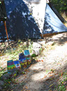 TheLandLaborDay2025-LT (52) (Large)