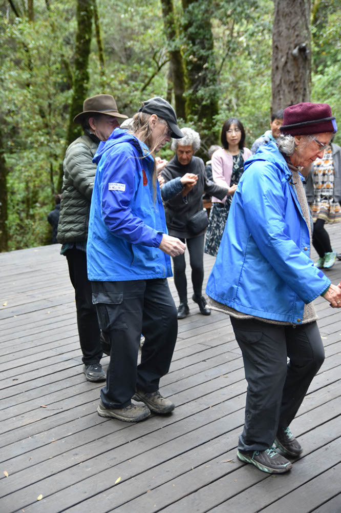 TheLandMD24-Dancing (1)