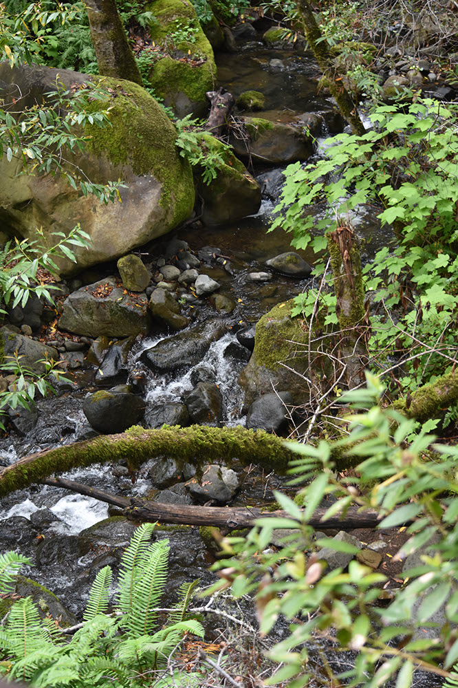 TheLandMD24-Misc (11)