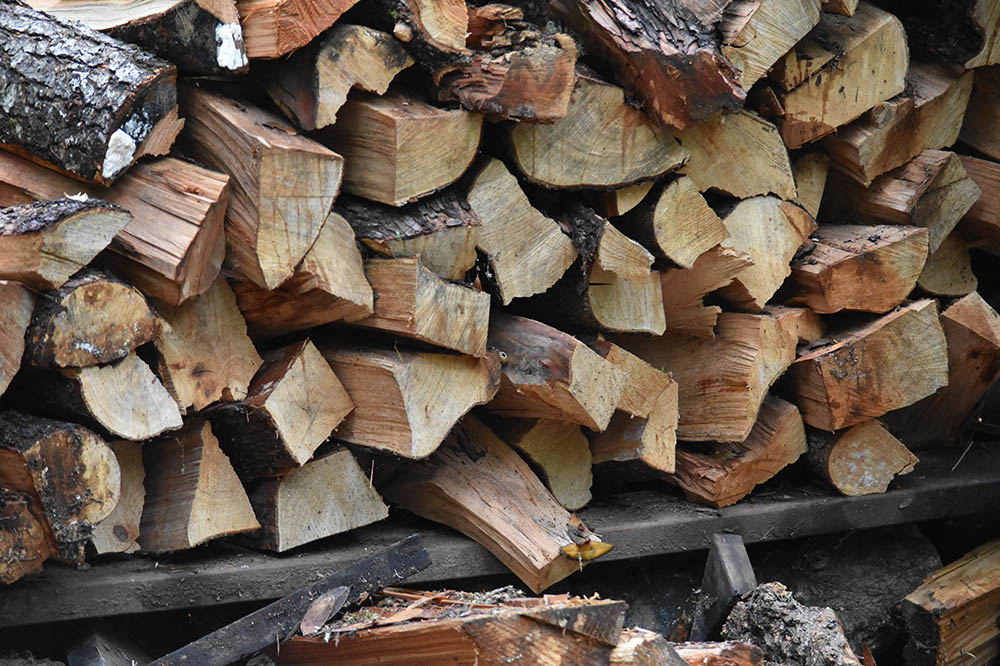 TheLandMD24-Misc (19)