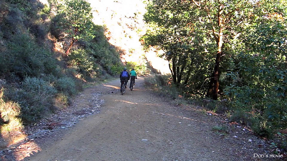 DSC_3155,IMG_7478, 286