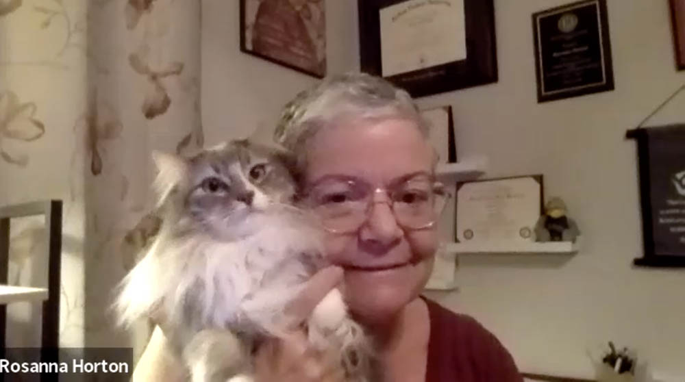 Screen Shot 2022-11-14 at 10.29.25 PM