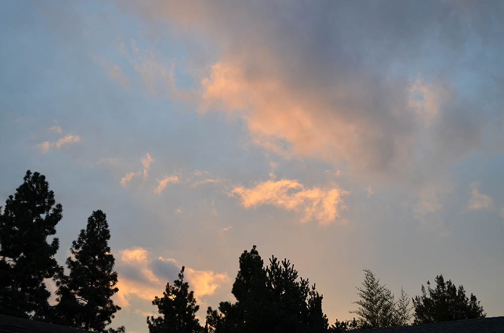 DSC_0139