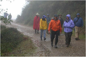 image10.jpg