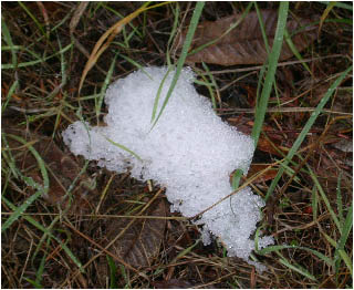 image12.jpg