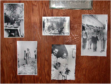 image23.jpg