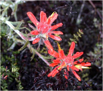 image7.jpg