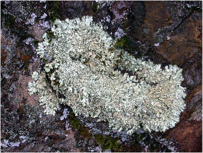 image8.jpg