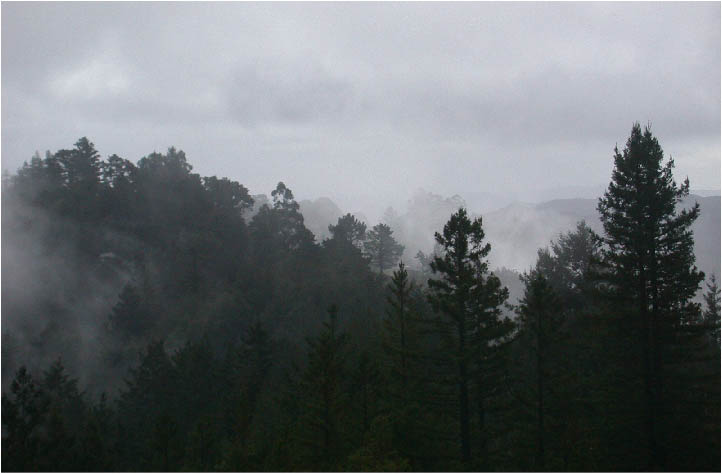 image6.jpg