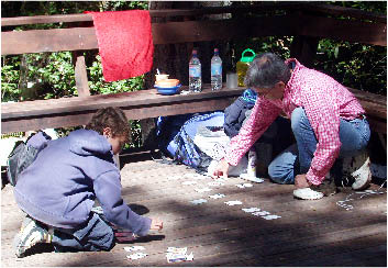 image12.jpg