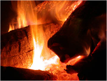 image31.jpg