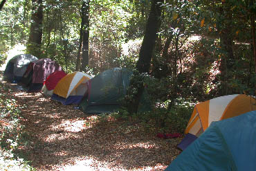 image39.jpg