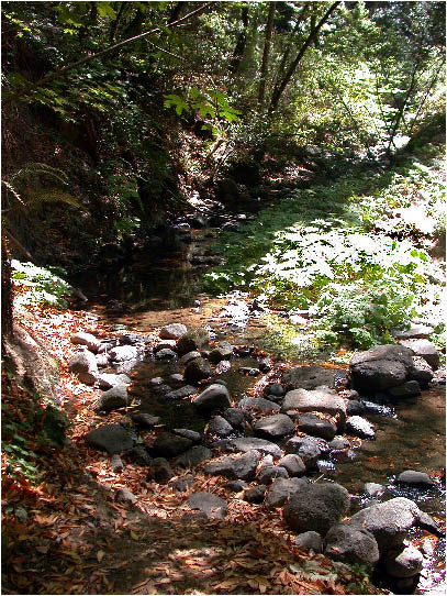 image41.jpg