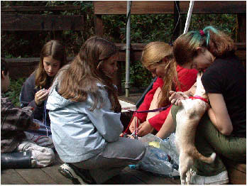 image35.jpg