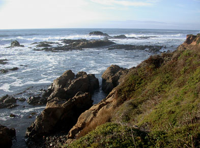 DSCN6190
