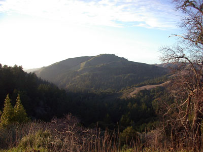 DSCN6193